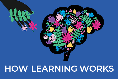 How Learning Works