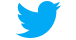 Twitter Icon