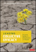 Leading Collective Efficacy